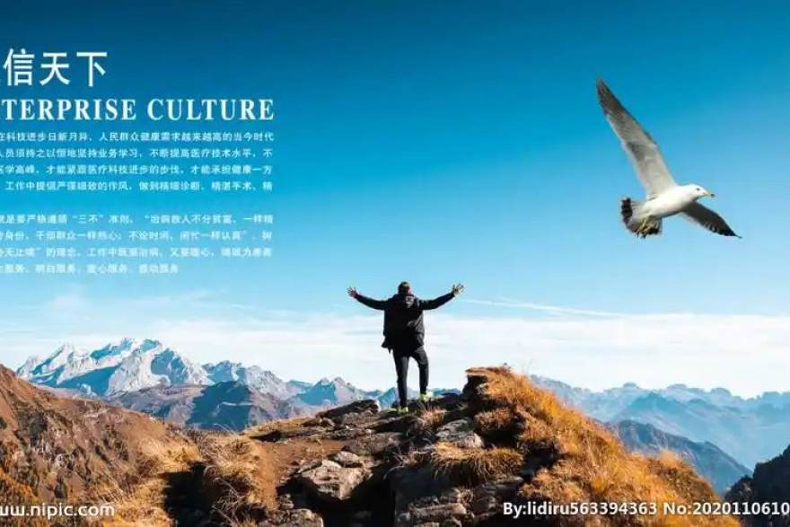 低调看球多终端同步观看赛事直播